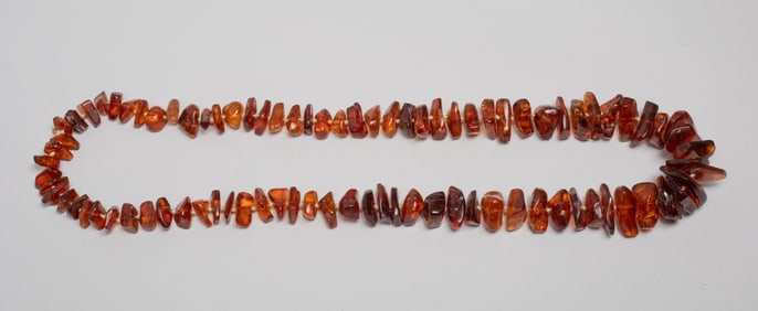 Collectible Nature Amber Necklace