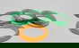 item-210487731=3