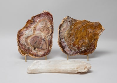 Estate Petrified Wood & Stone Slabs