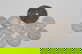 item-210495501=3