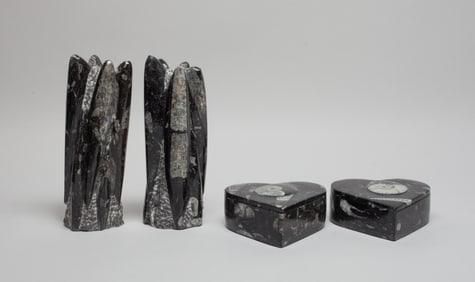 Designed Fossil Boxes & Sculptures