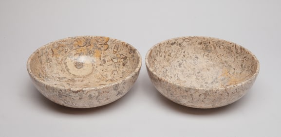 Two Continental Large Fossil Bowls