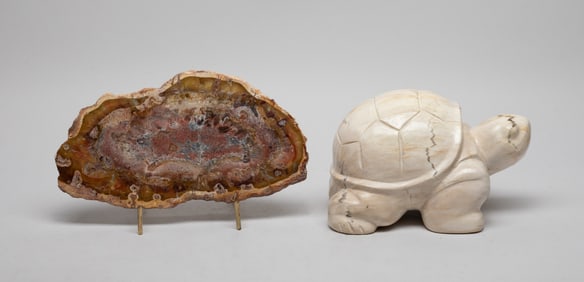 Petrified Wood Sculpture & Slab