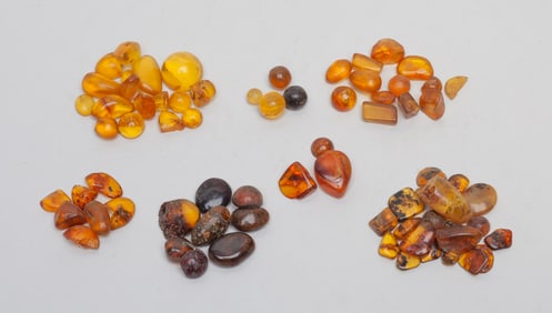Large Group Amber Nuggets