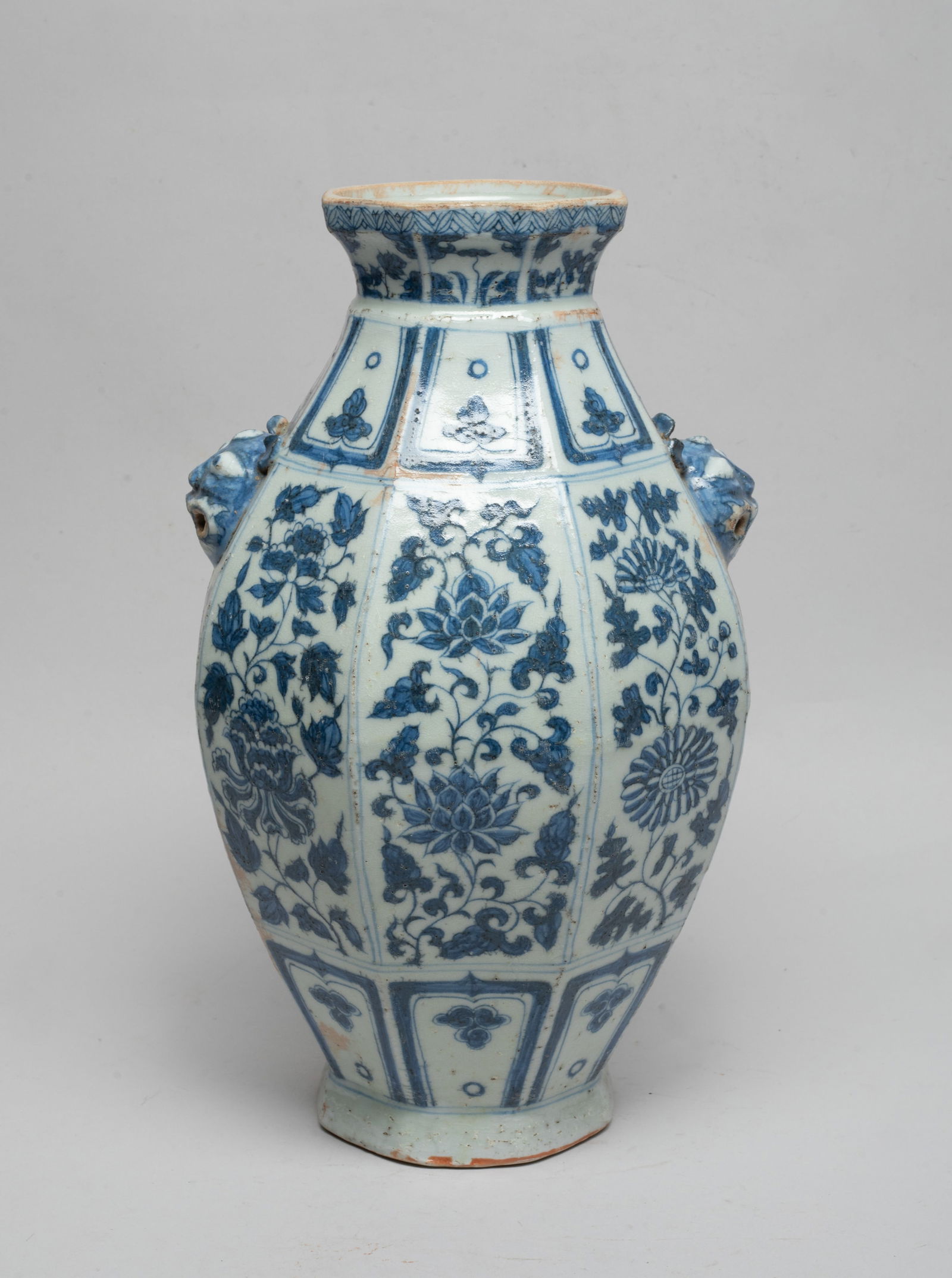 Chinese Shipwreck Type Porcelain Vase (1 of 13)