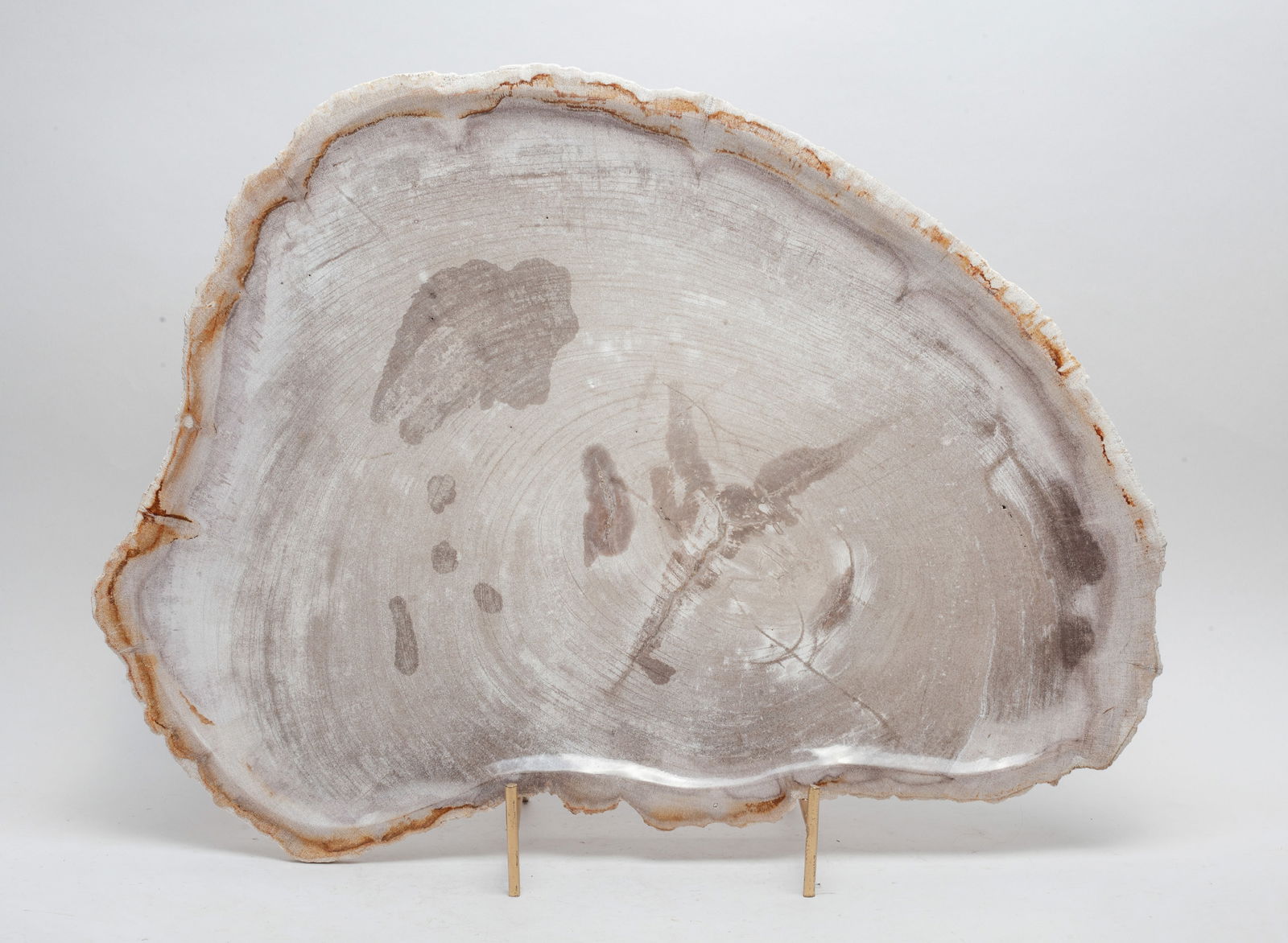 Very Large Petrified Wood Tray (1 of 10)