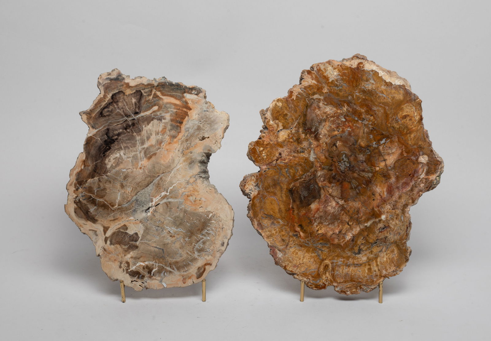 Two Large Petrified Wood Slab Sculptures (1 of 13)