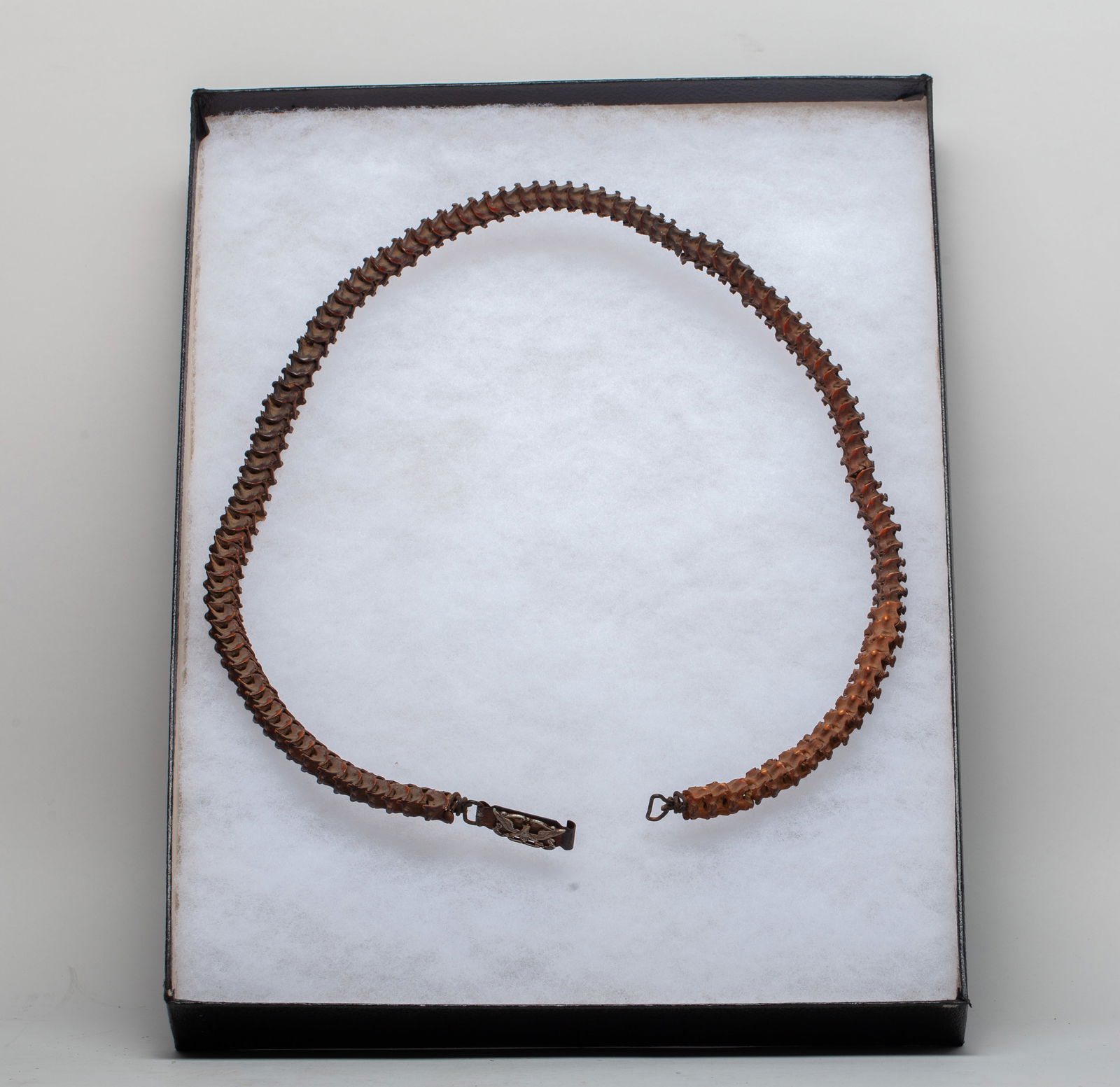 Rare Vintage Snake Skeleton Belt (1 of 16)