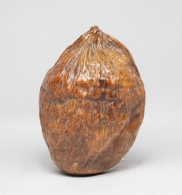 Old Dry Coconut Decor