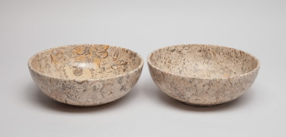 Two Continental Large Fossil Bowls