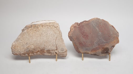 Two Rare Fossilized Dinosaur Slabs