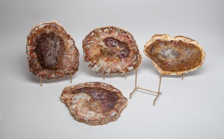 Estate High Quality Petrified Wood Slabs