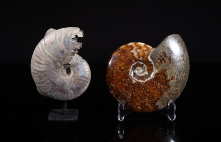 Two Vintage Opalized Fossil Sculptures