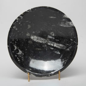 Collectible Vintage Fossil Plate