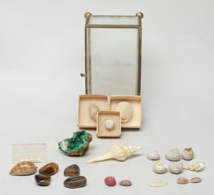 Estate Groups Fossils, Gemstones