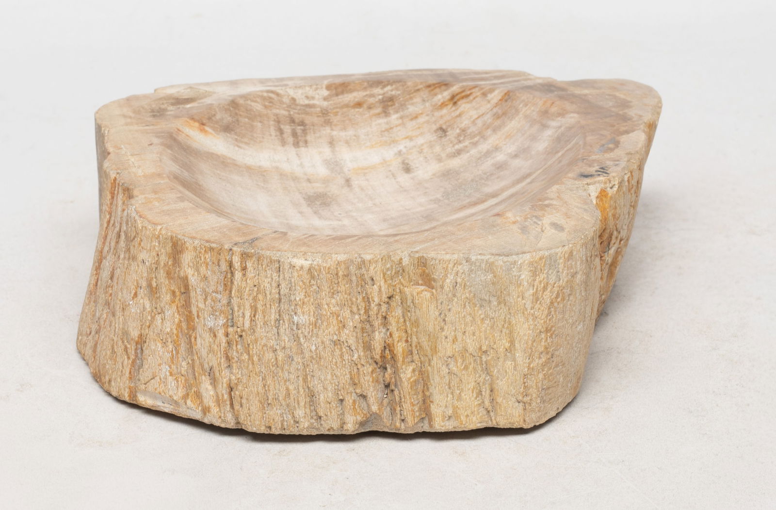 Collectible Petrified Wood Bowl: Collectible petrified wood bowl, the interior finely smoothed and polished. Approx. 6*5.5*1.6 inch. The Estate of the Store Closed Sale, Hollywood, CA, 2019.