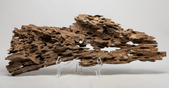 Large South Asian Agarwood Tree Parts