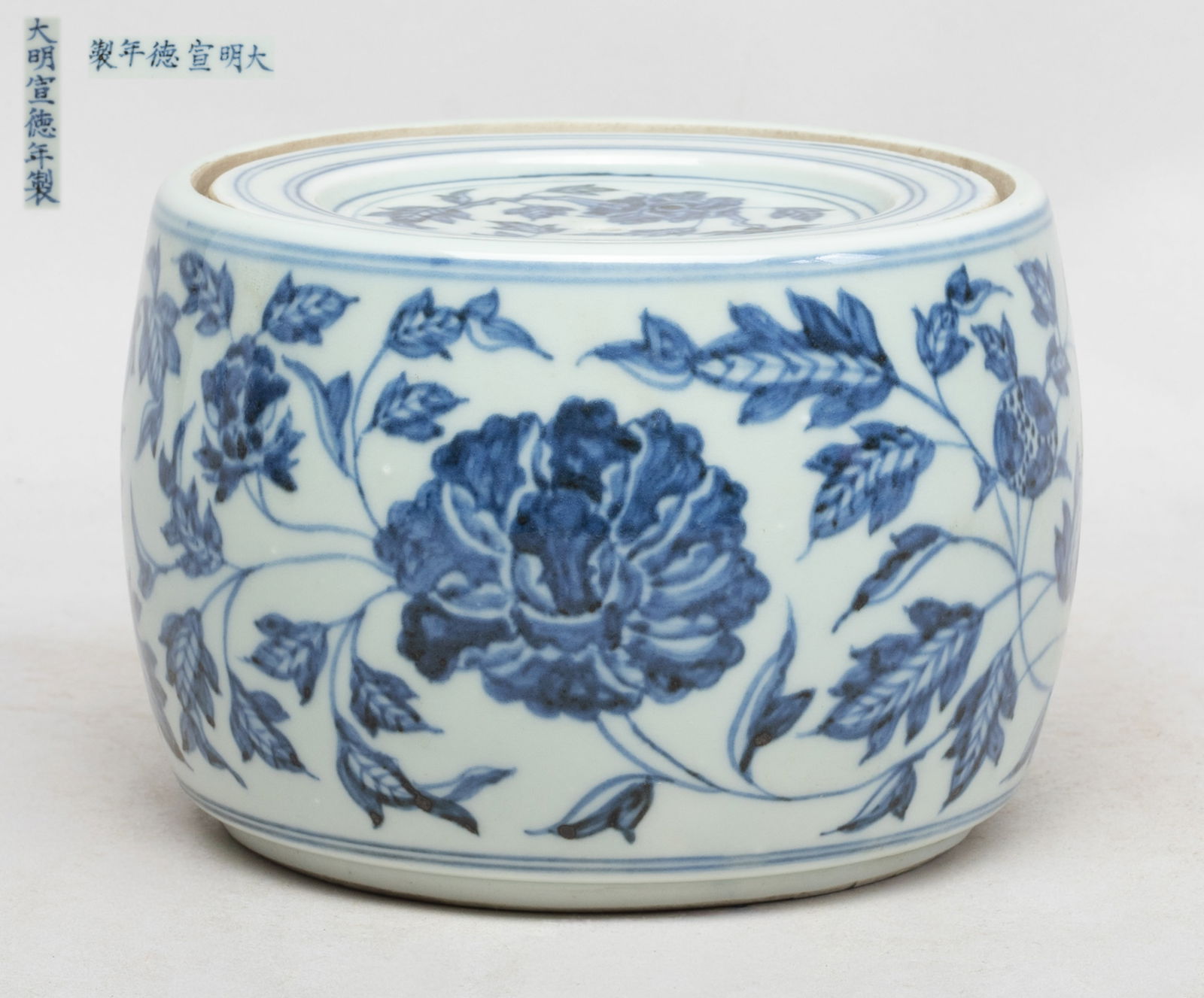 Chinese Blue & White Porcelain Jar (1 of 12)
