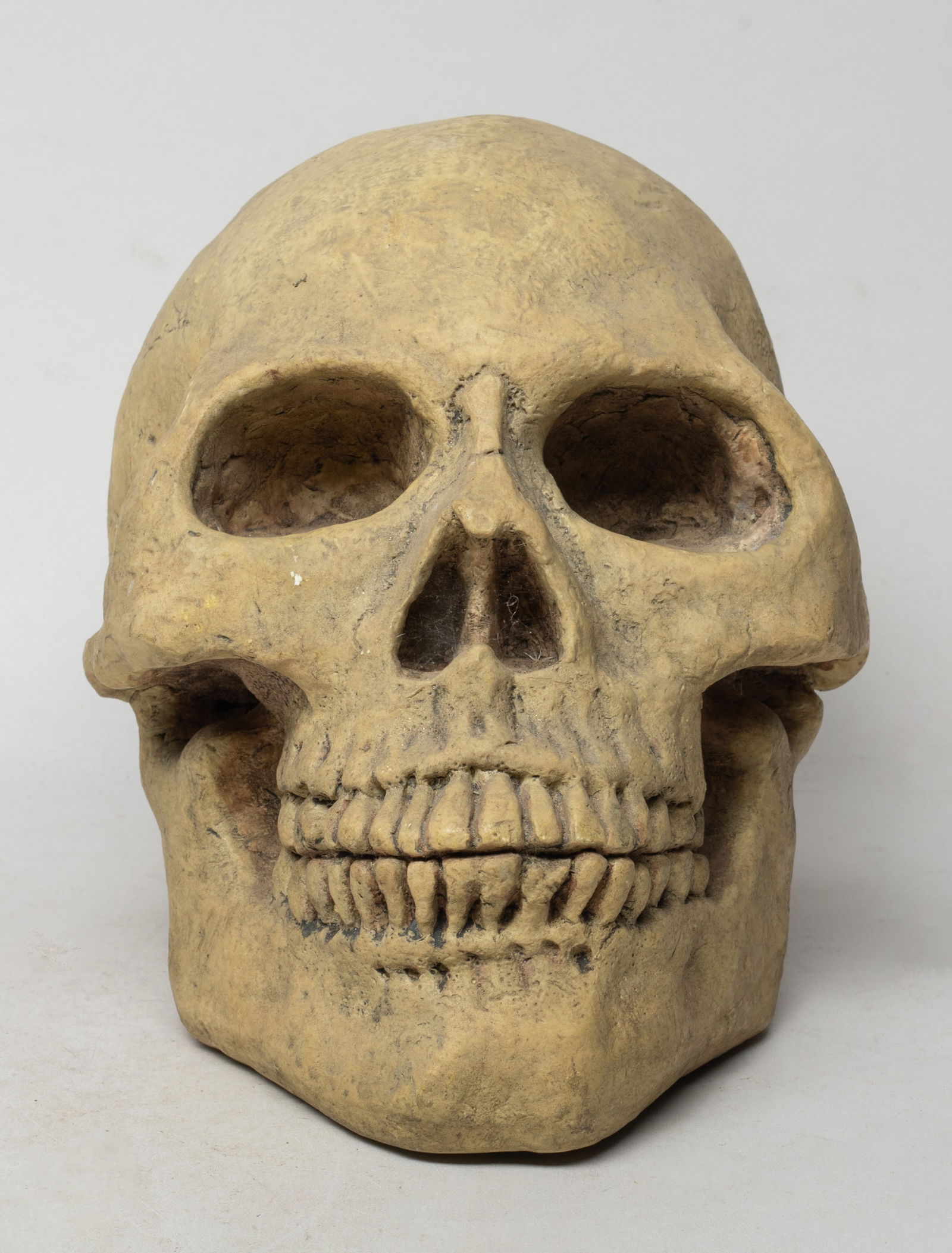 Large Mid-centure Skull Form Coin Bank (1 of 13)