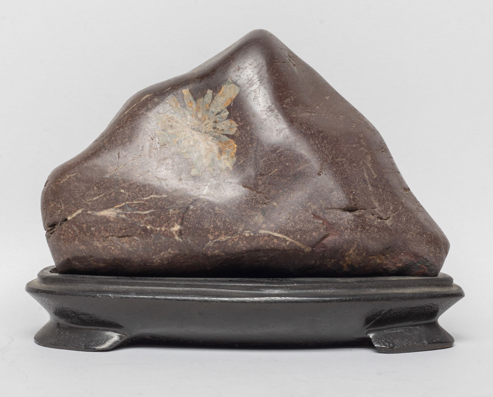 Chinese Fossil Scholar Stone (1 of 13)