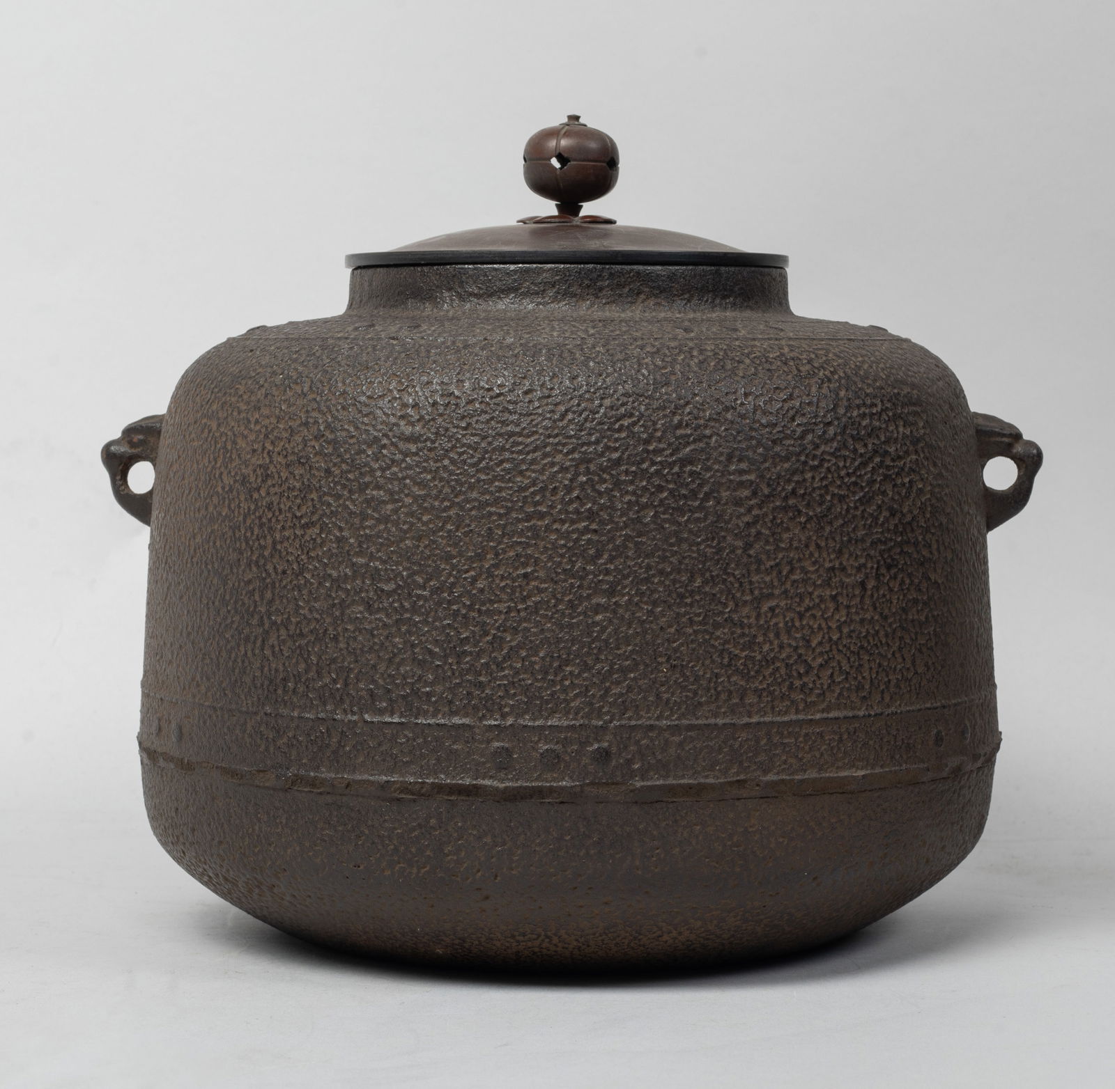 Vintage Japanese Cast Iron Tea Pot (1 of 11)