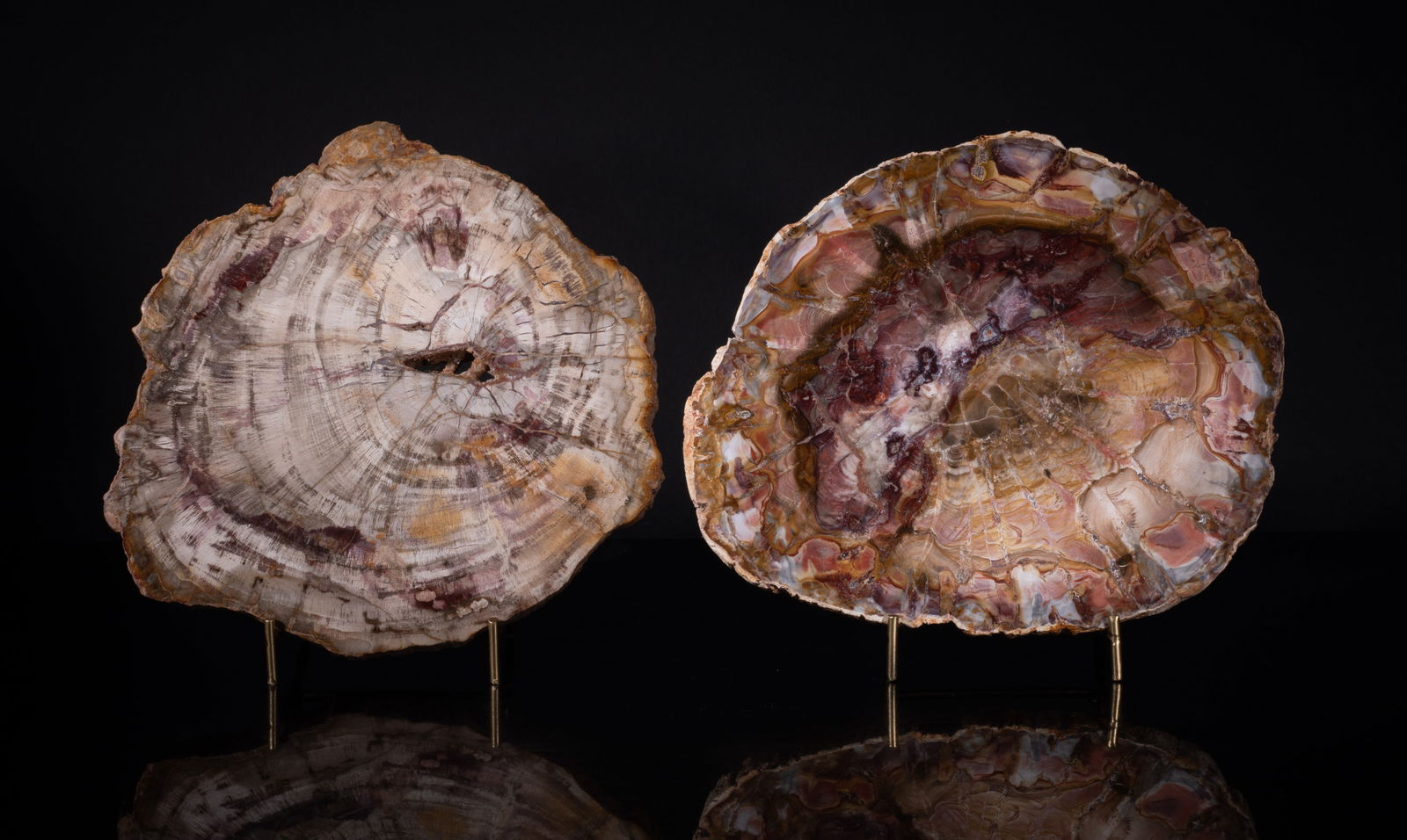 Two Studio Art Slab Petrified Wood Sculptures: Two studio art petrified wood slab sculptures, with stands. Approx. 9.1*7.7 inch (larger).