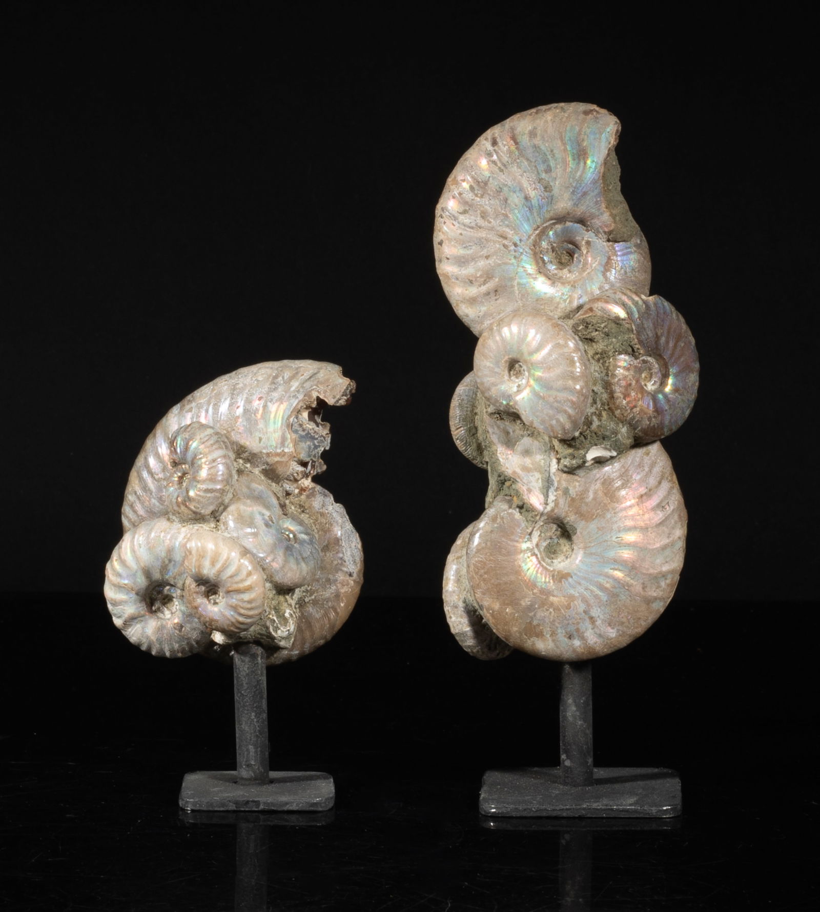 Two Designed Opalized Fossil Sculptures: Two designed table decor opalized fossil sculptures, with stands. Approx. 5.1*1.8*1.5 inch (larger w/ stand).