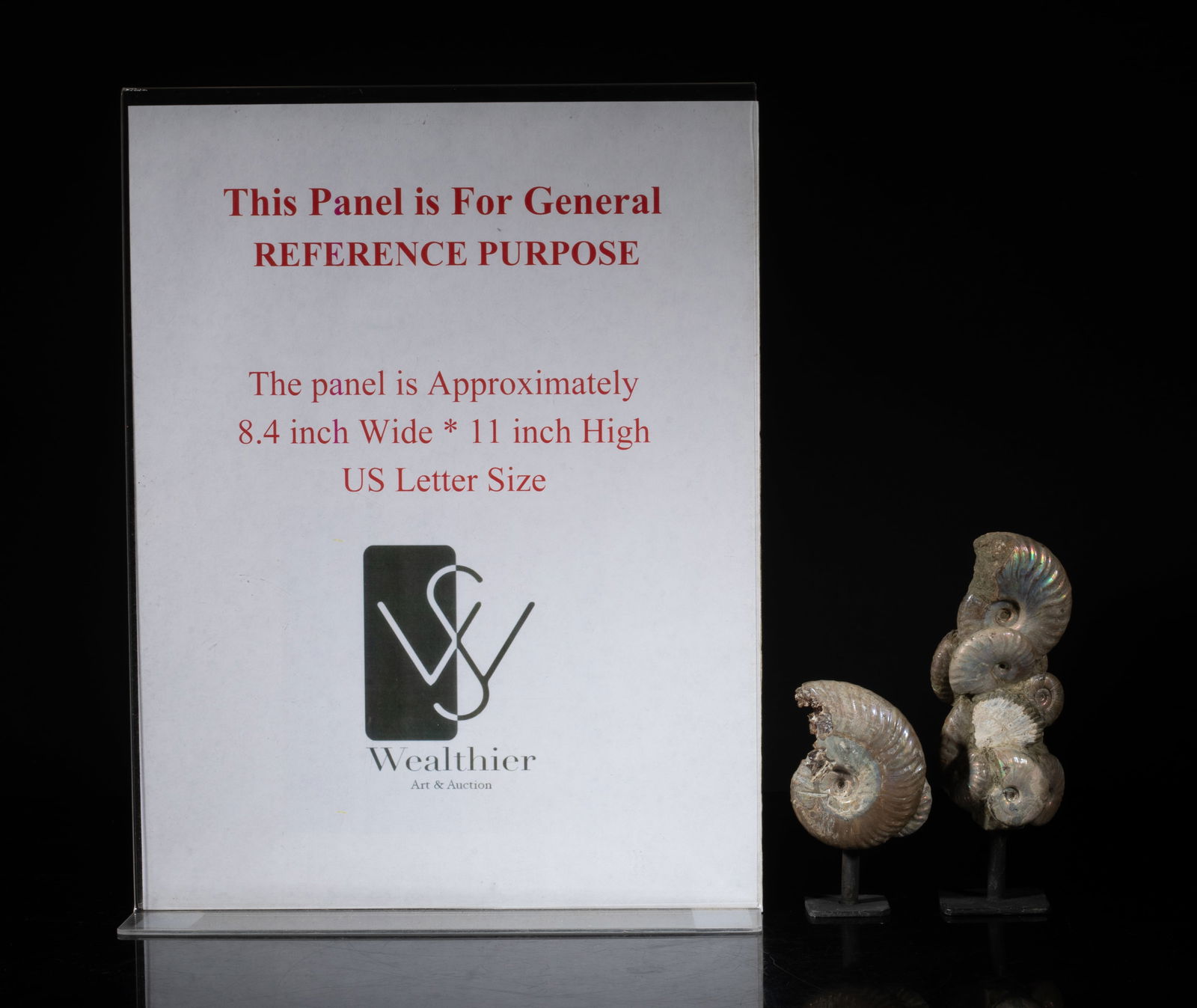 Two Designed Opalized Fossil Sculptures - 2