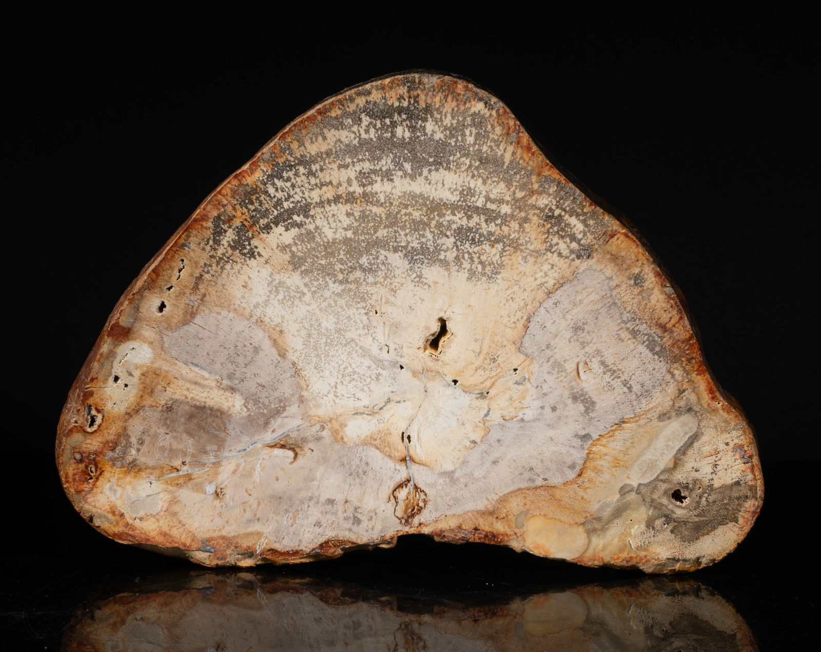 Vintage Petrified Wood Slab Sculpture: Vintage petrified wood slab sculpture, both sides finely smoothed and polished. Approx. 9.2*6.5*0.7 inch.