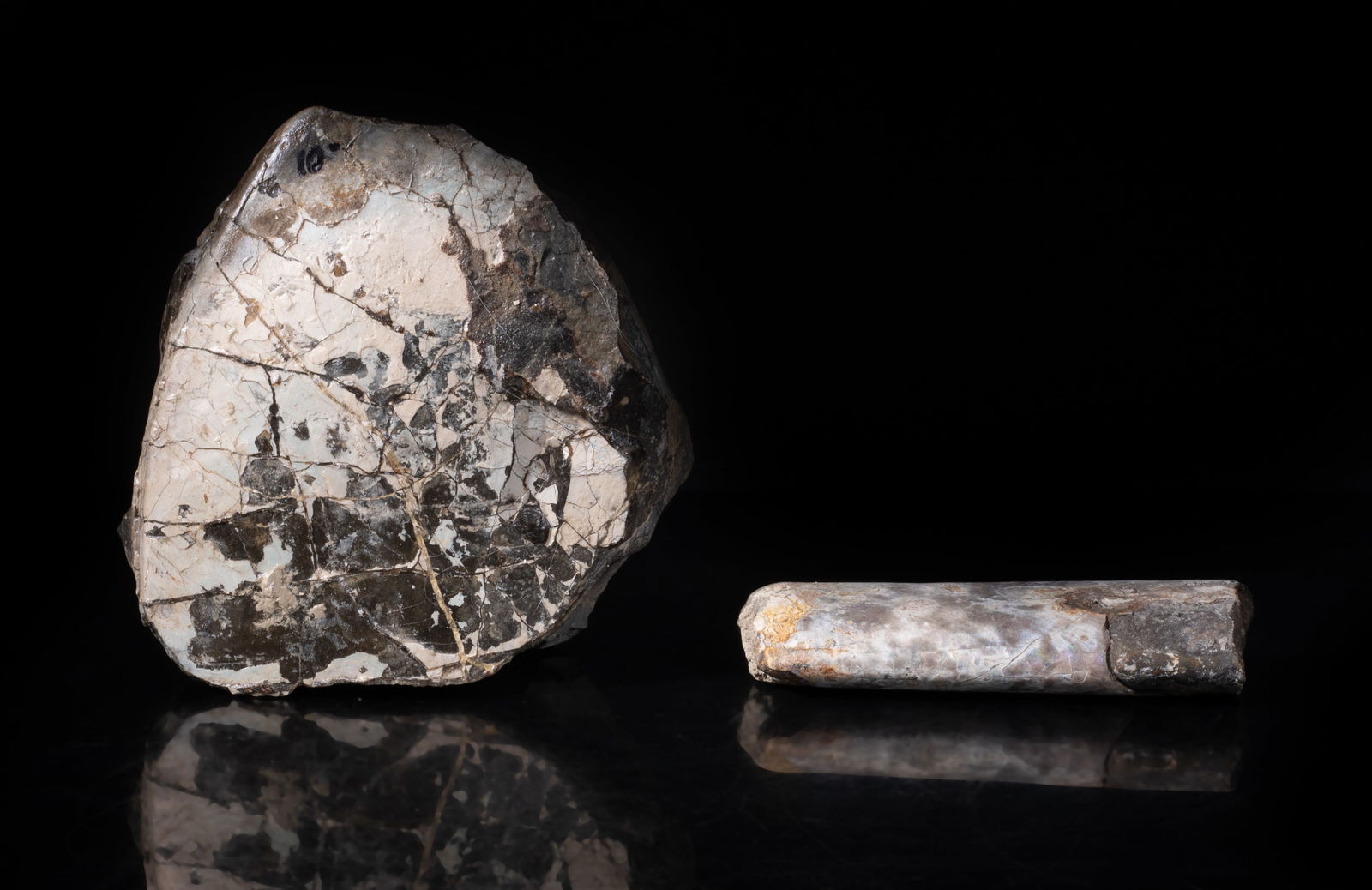 Rare Opalized Fossil Sculptures (1 of 12)