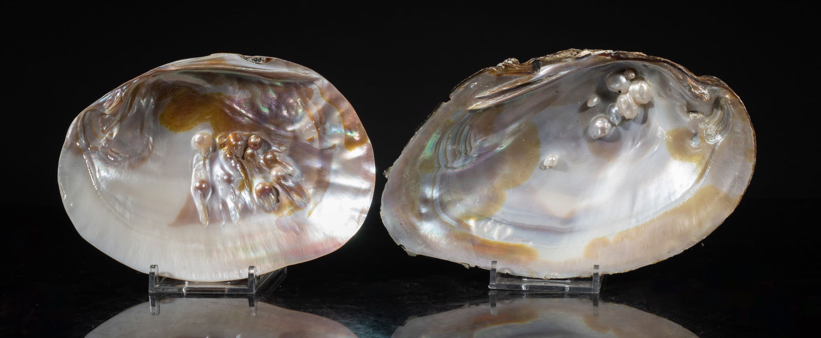 Two Large MOP Shell Sculptures: Two large mother-of-pearl shell sculptures. Approx. 6.8*4.1*1 inch (larger).