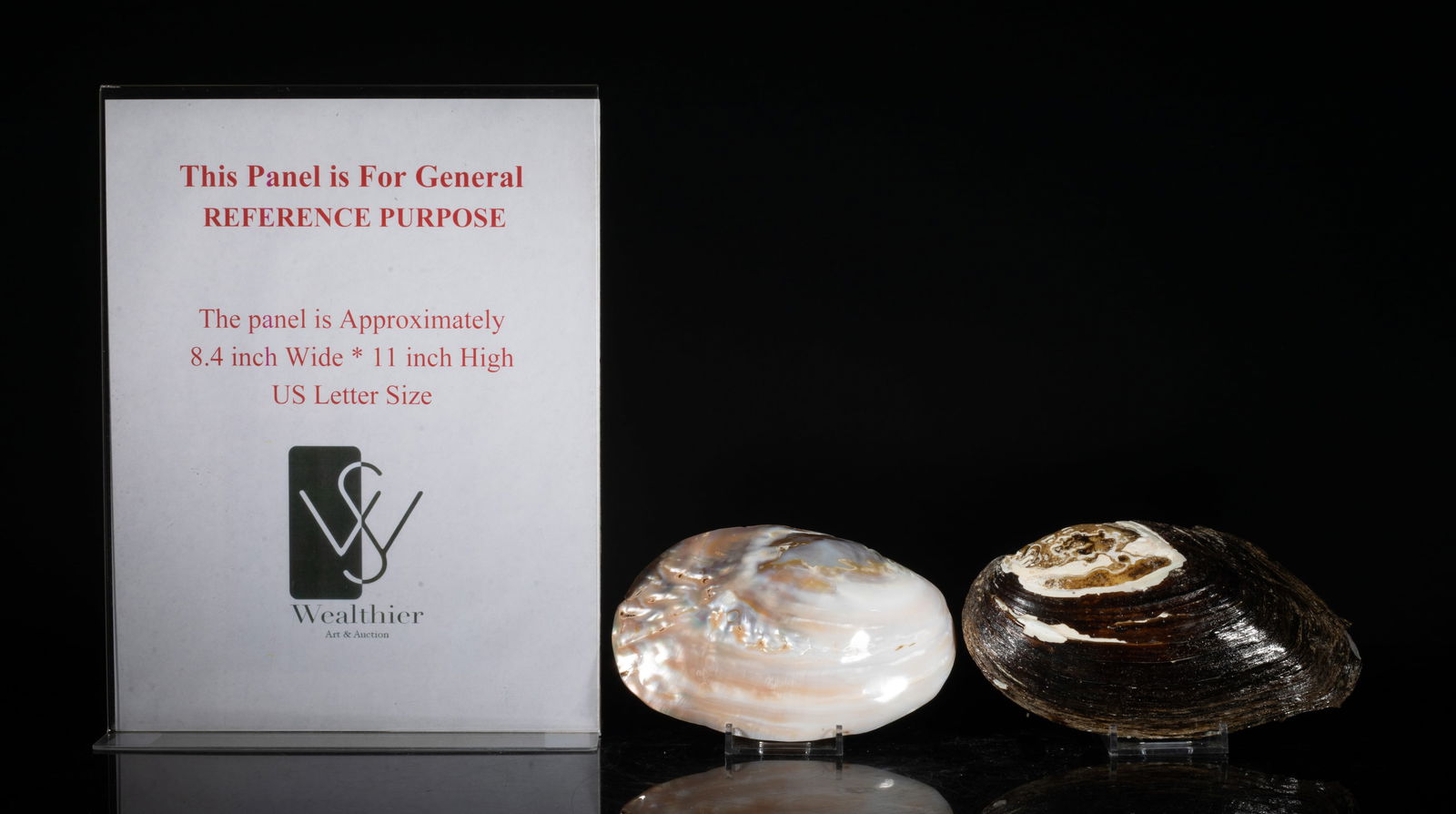 Two Large MOP Shell Sculptures - 2