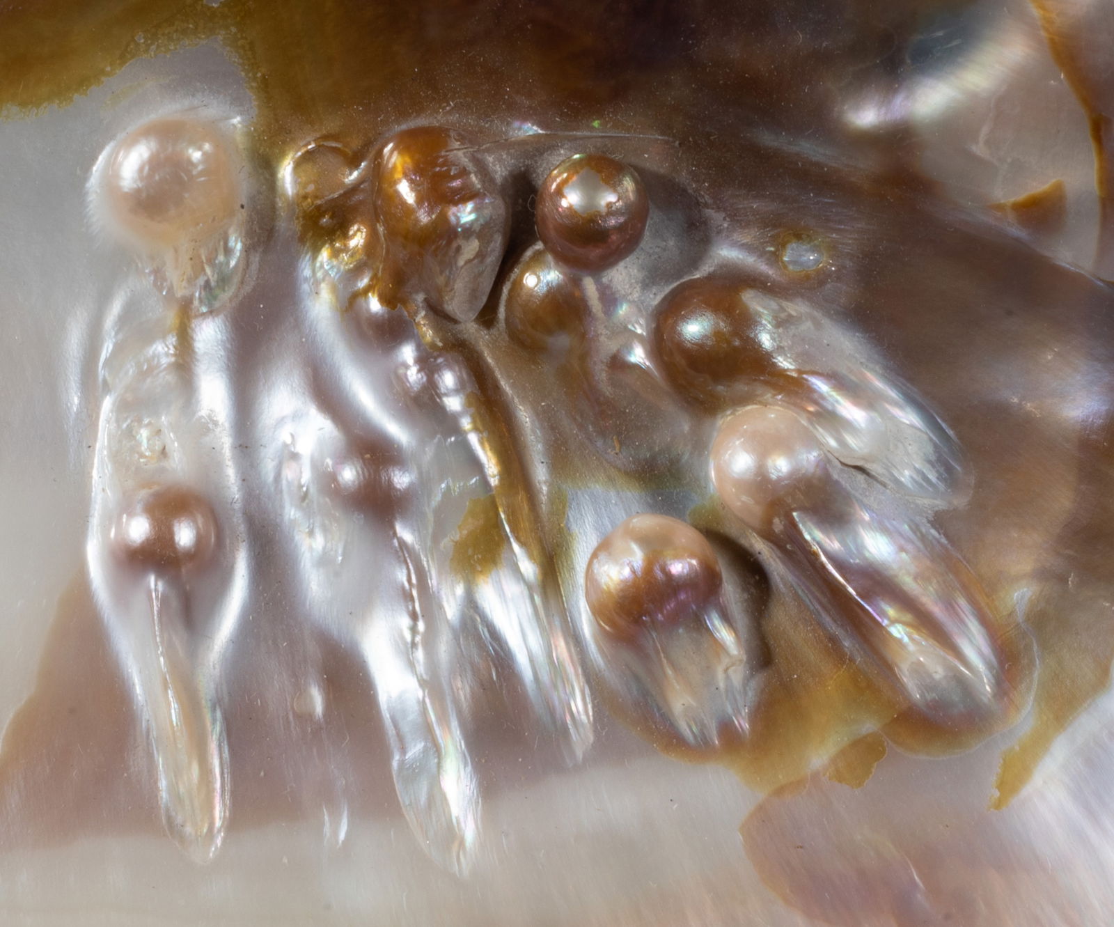 Two Large MOP Shell Sculptures - 3