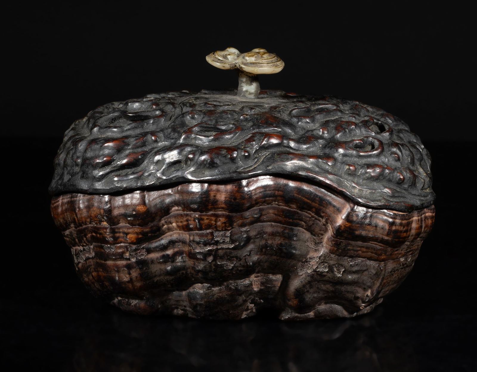 Chinese Lingzhi Box w/ Wood Cover (1 of 18)