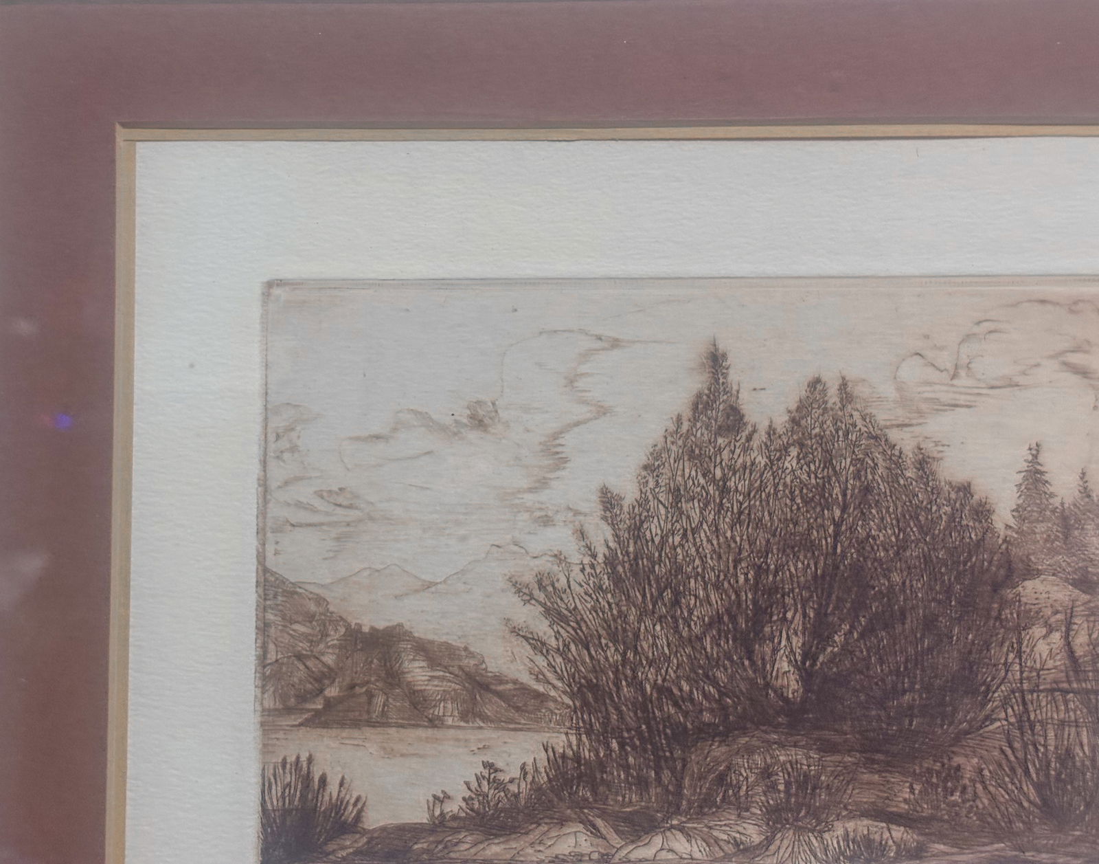 Nancy Brossman: Ridgetep Held 38/350 - 2