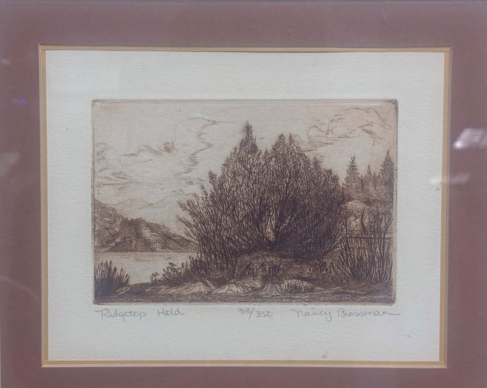 Nancy Brossman: Ridgetep Held 38/350 - 6