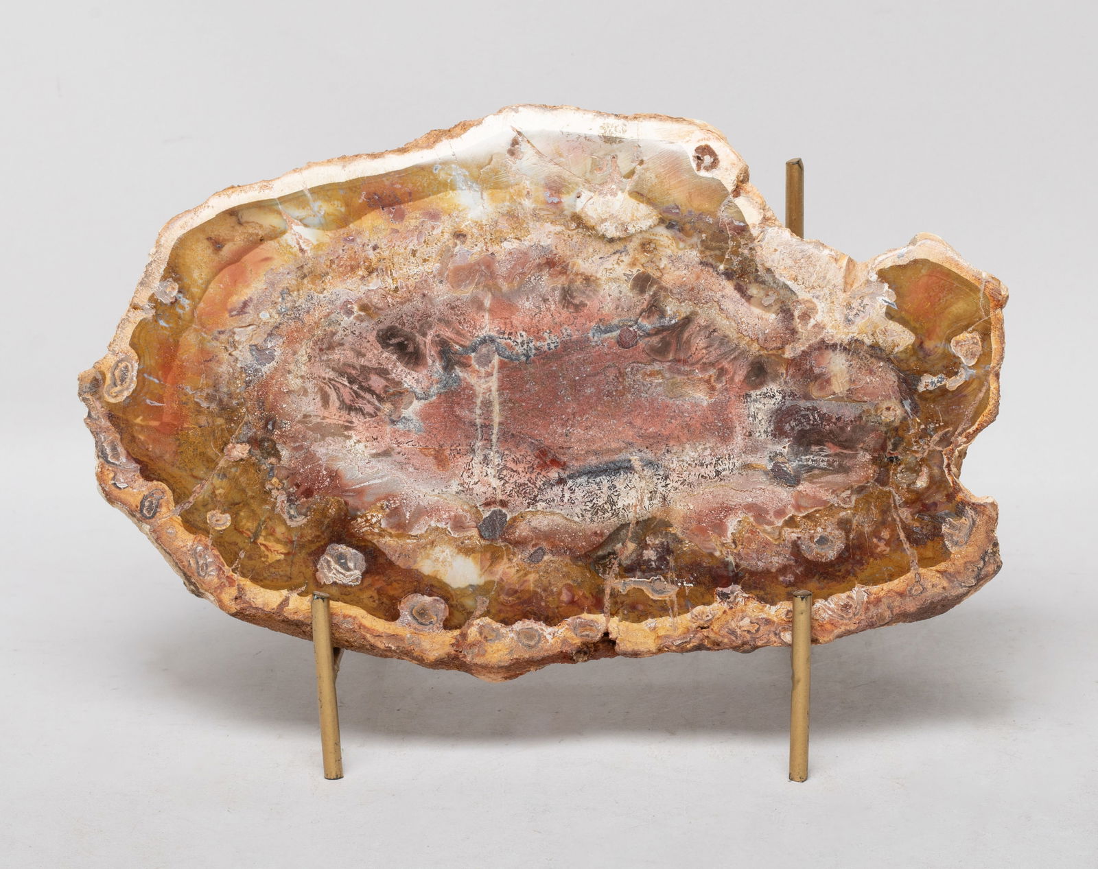 Petrified Wood Slab House Decor Sculpture: Room decor petrified wood slab sculpture, with stand. Approx. 8.5*5.1 inch (w/o stand).