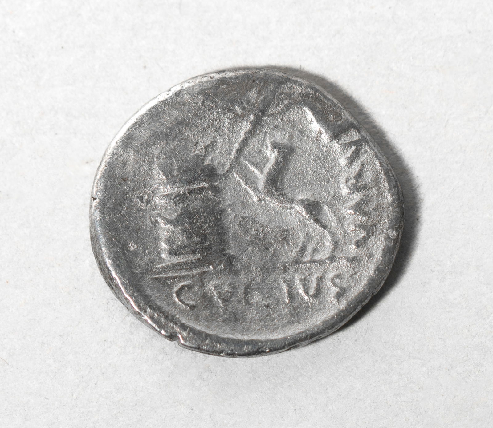 C. Vibius Varus Roman Silver Coin: Collectible Roman Republic C. Vibius Varus silver Denarius 42 BC coin. Approx. 3.6 gram.