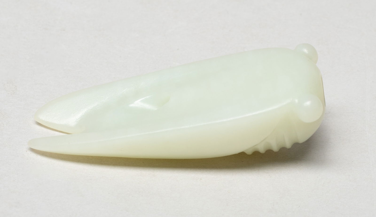 Chinese White Jade Cicada - 4
