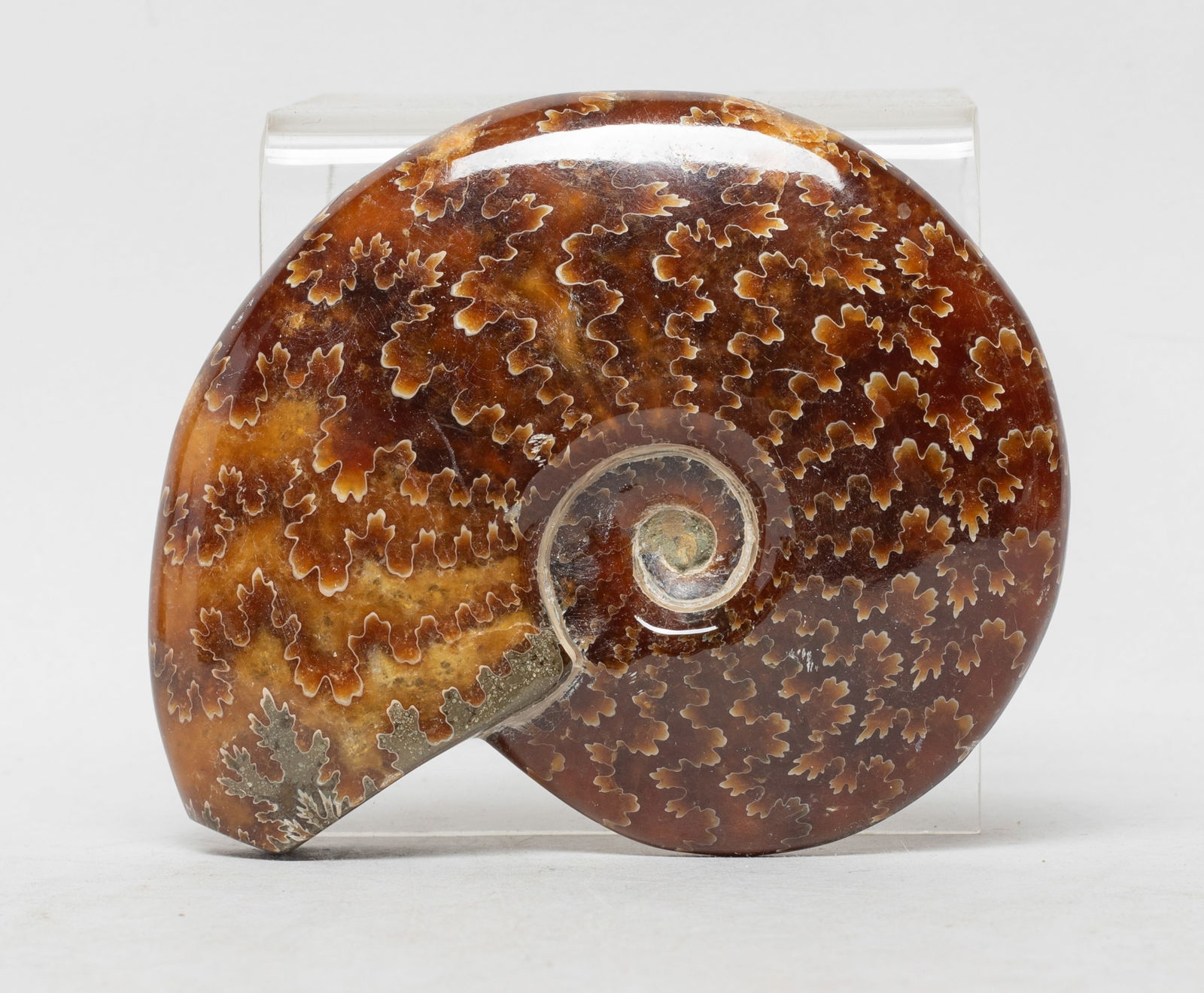 Rare Opalized Fossil Stone Sculpture: Collectible opalized fossil stone sculpture, the surface finely smoothed and polished. Approx. 3.9*3.15*0.87 inch.