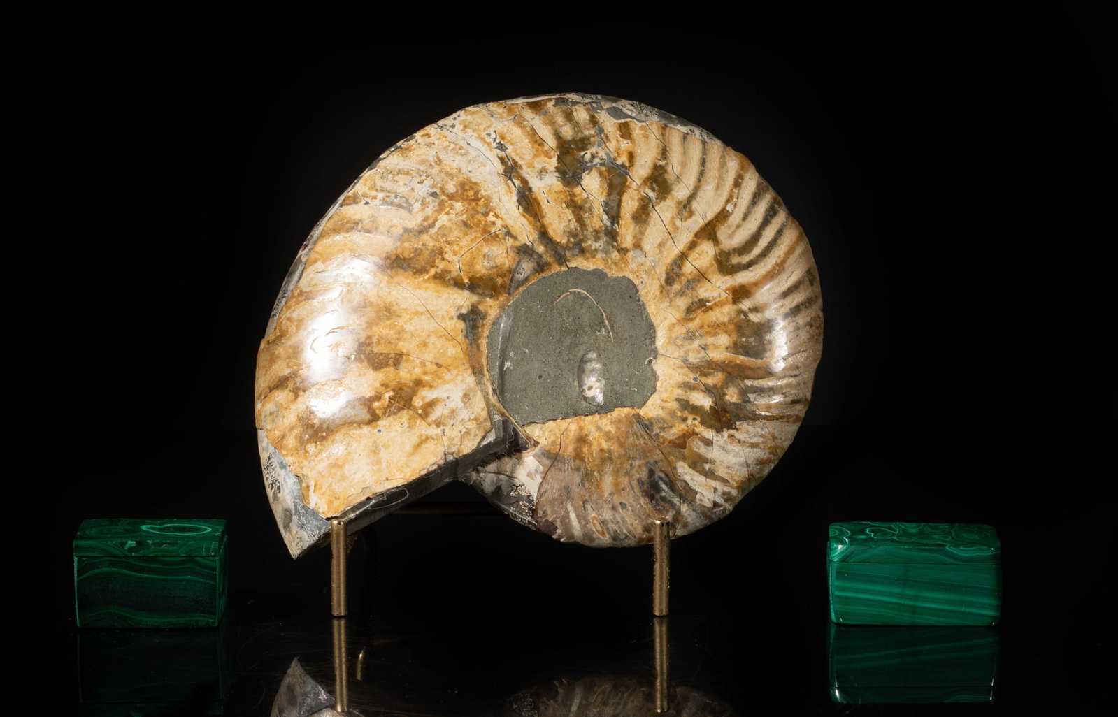Vintage Opalized Fossil Slab, Malachite Boxes (1 of 14)