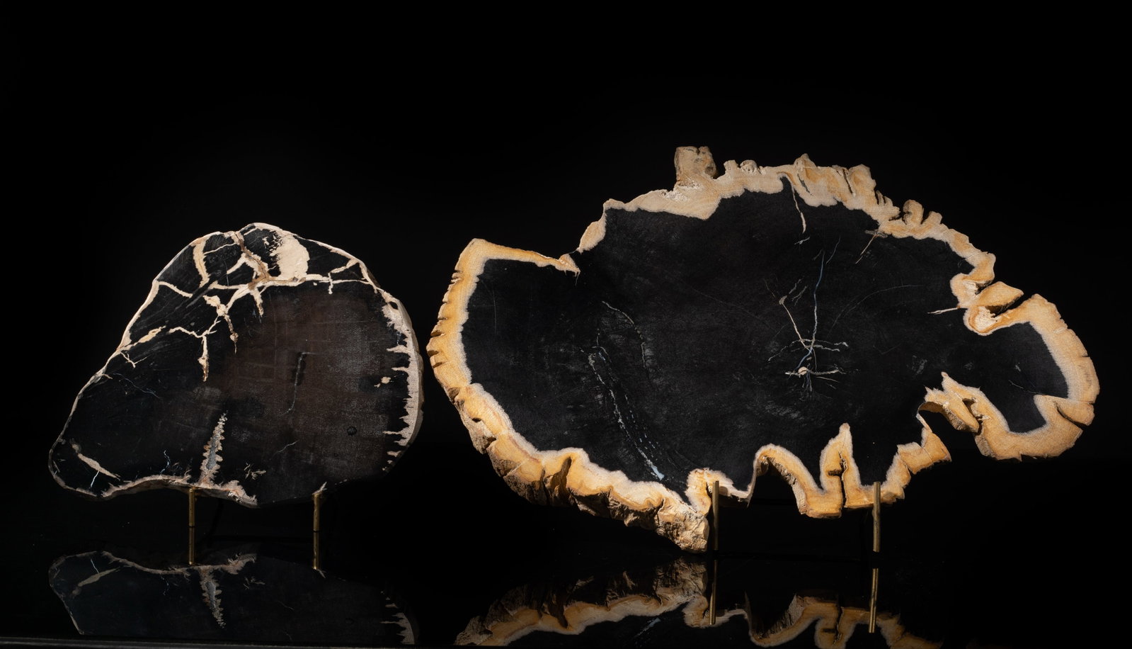 Two Large Petrified Wood Slab Sculptures (1 of 14)