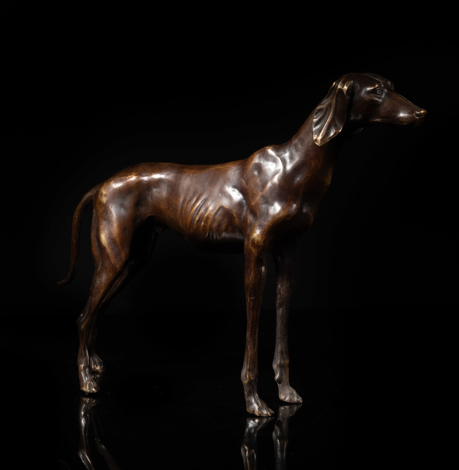 Early 1900s Bronze Sculpture of Hound: Vintage bronze cast hound sculpture. Approx. 9.8*13.2*2.2 inch.