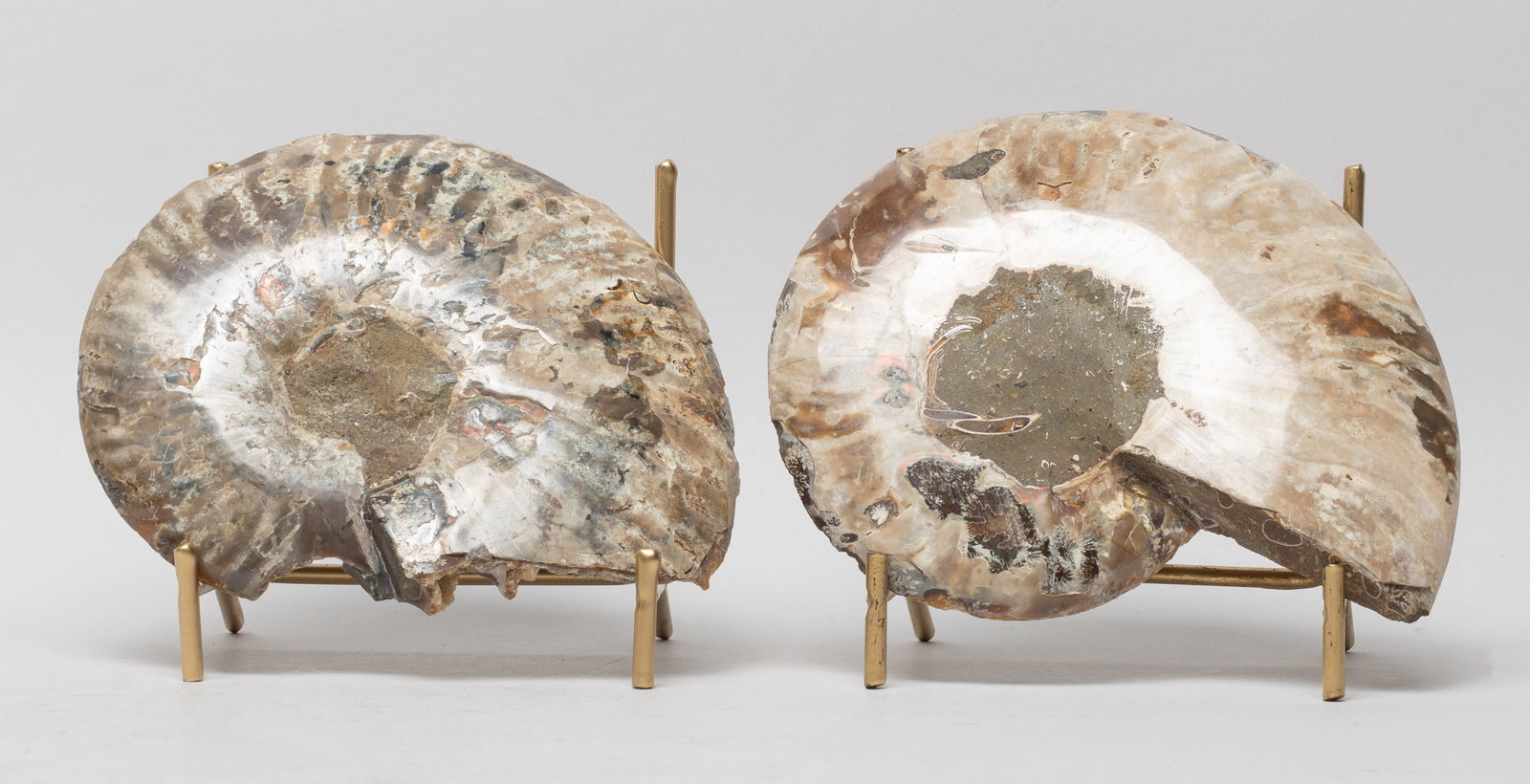 Two Opalized Fossil Slab Sculptures: Two opalized fossil slab sculptures with stands. Approx. 5.3*4.2 inch (larger).