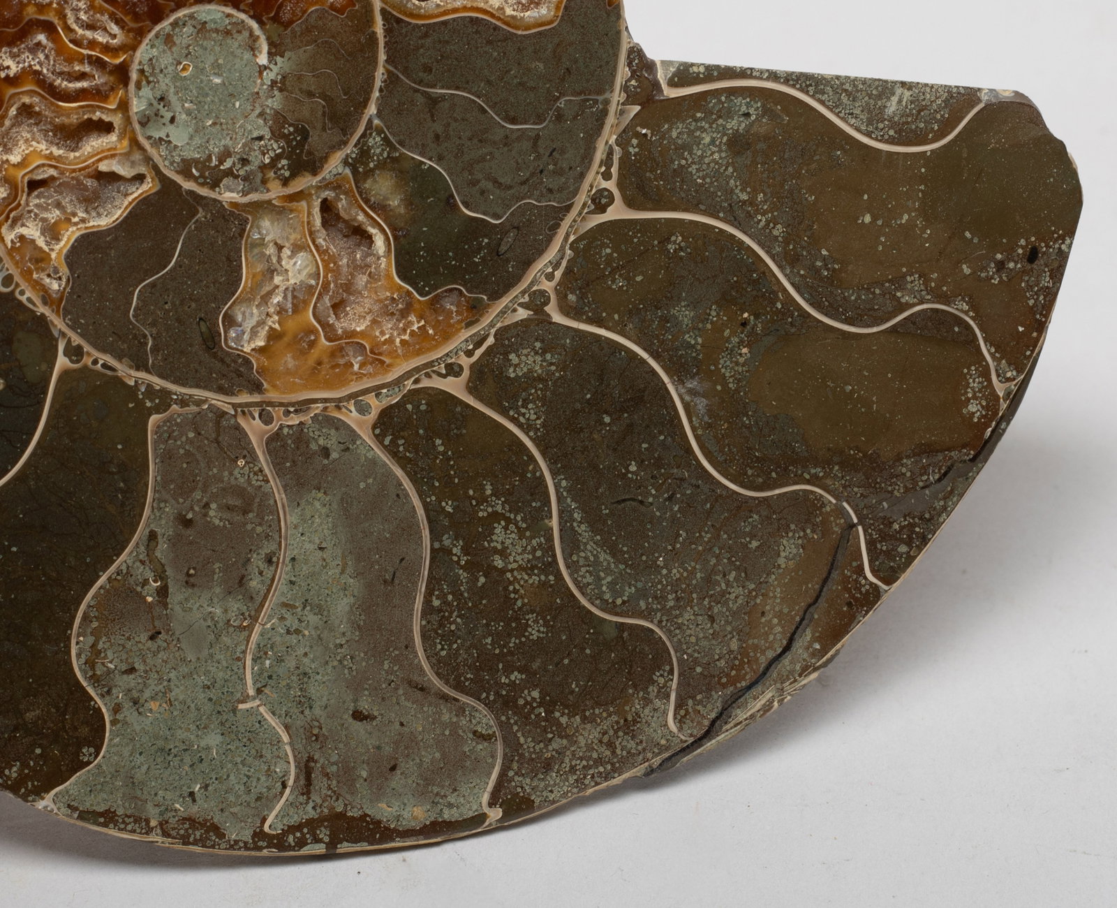 Two Opalized Fossil Sculptures - 14