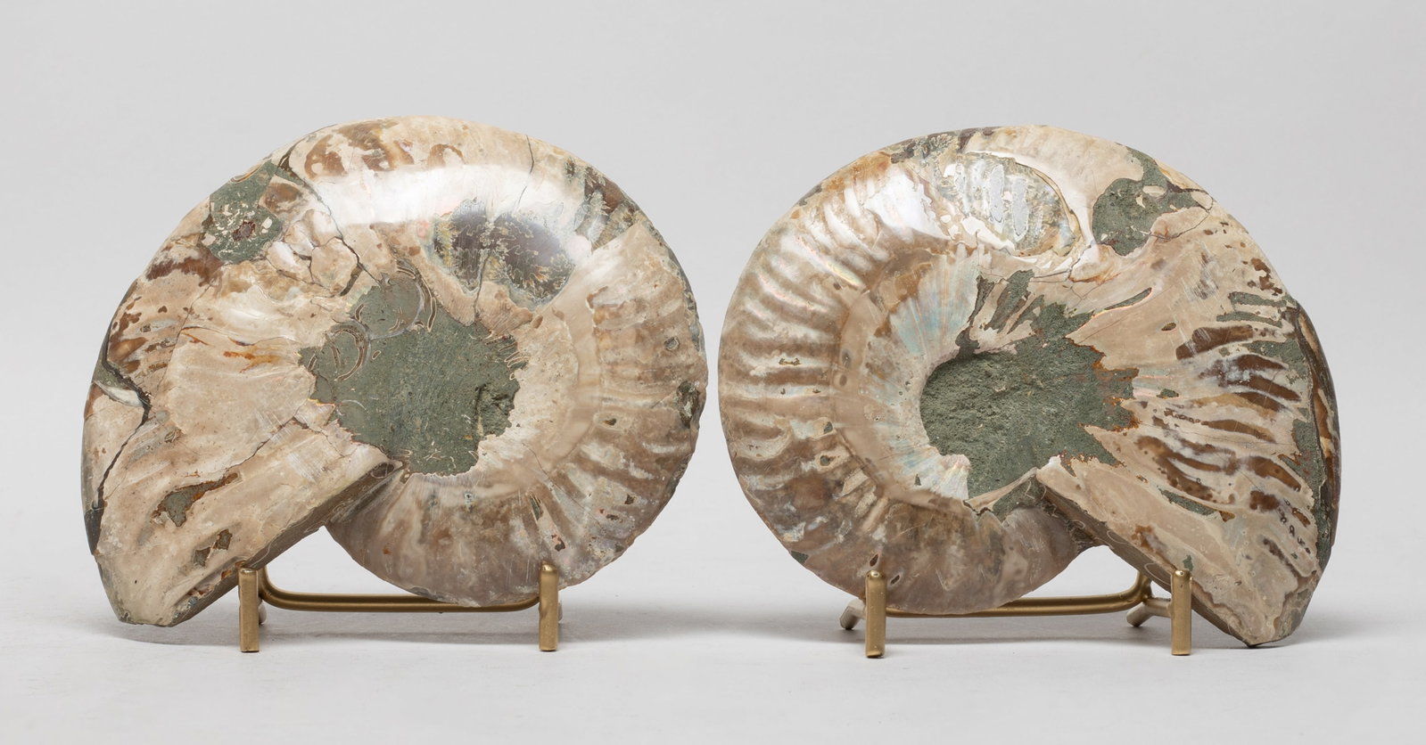 Two Opalized Fossil Sculptures: Two opalized fossil sculptures, with stands. Approx. 5.4*4.3 inch (larger).