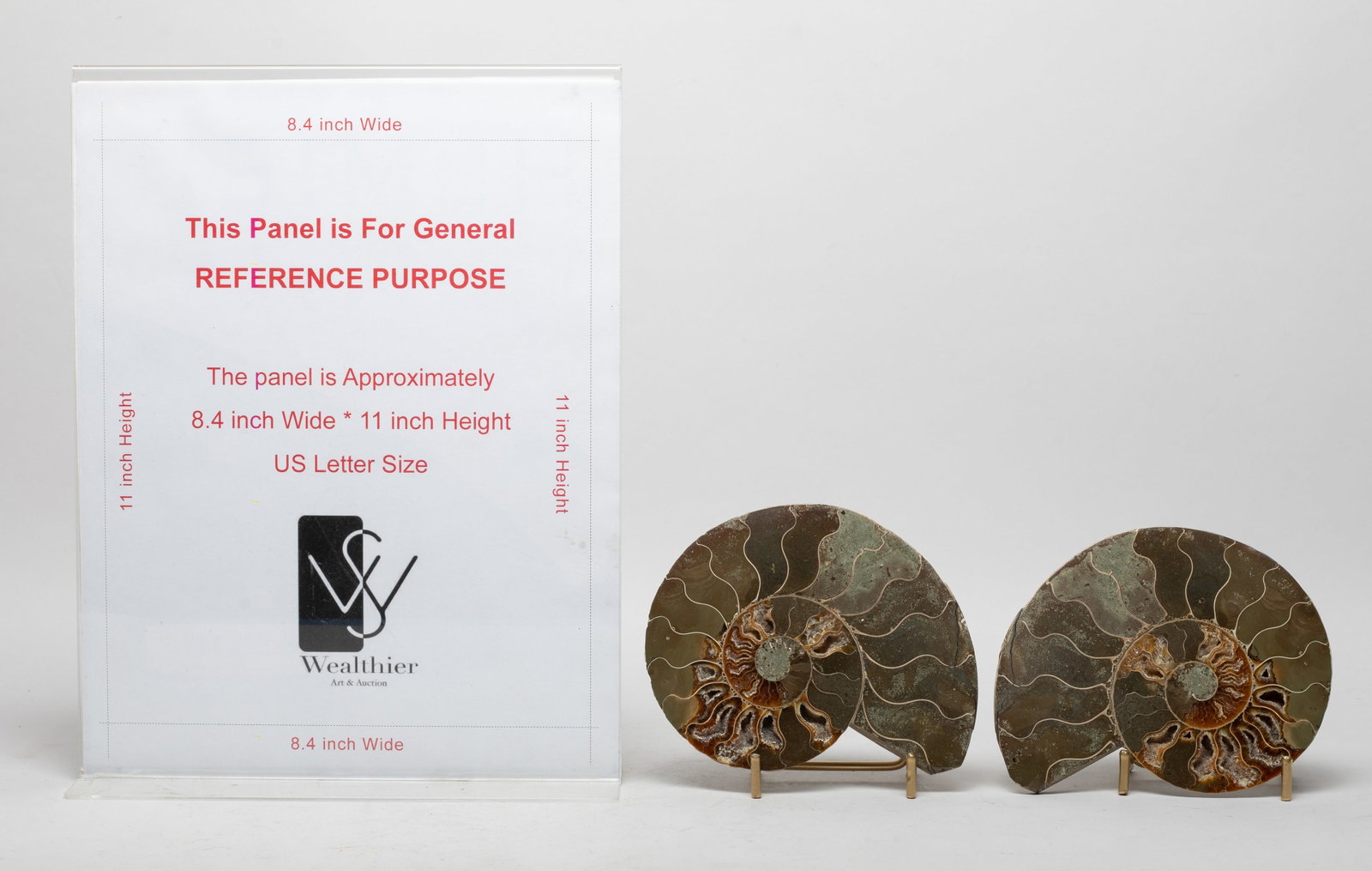 Two Opalized Fossil Sculptures - 2