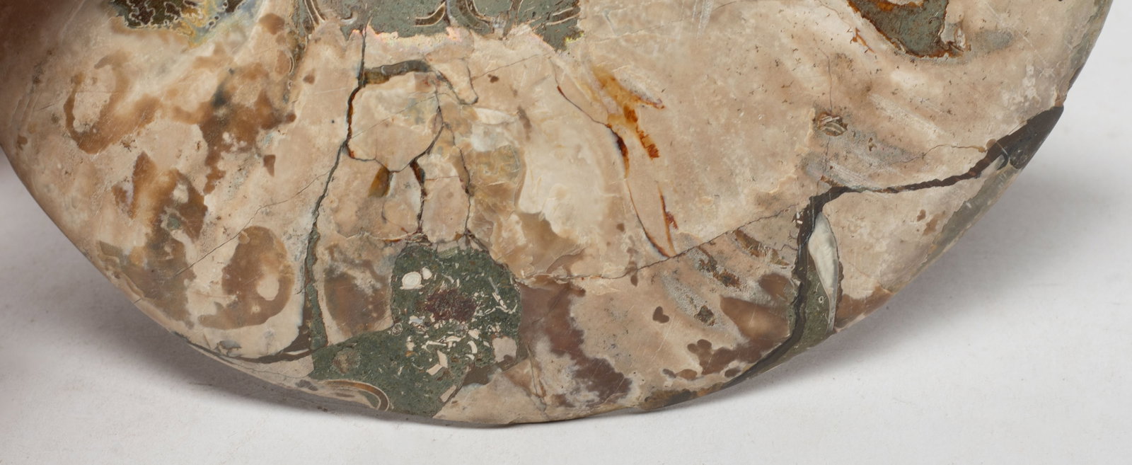 Two Opalized Fossil Sculptures - 5