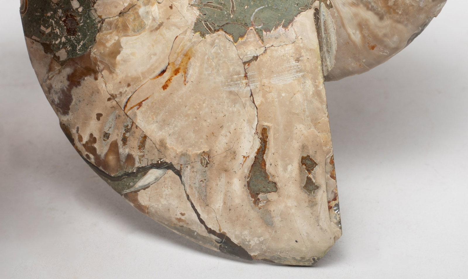 Two Opalized Fossil Sculptures - 6