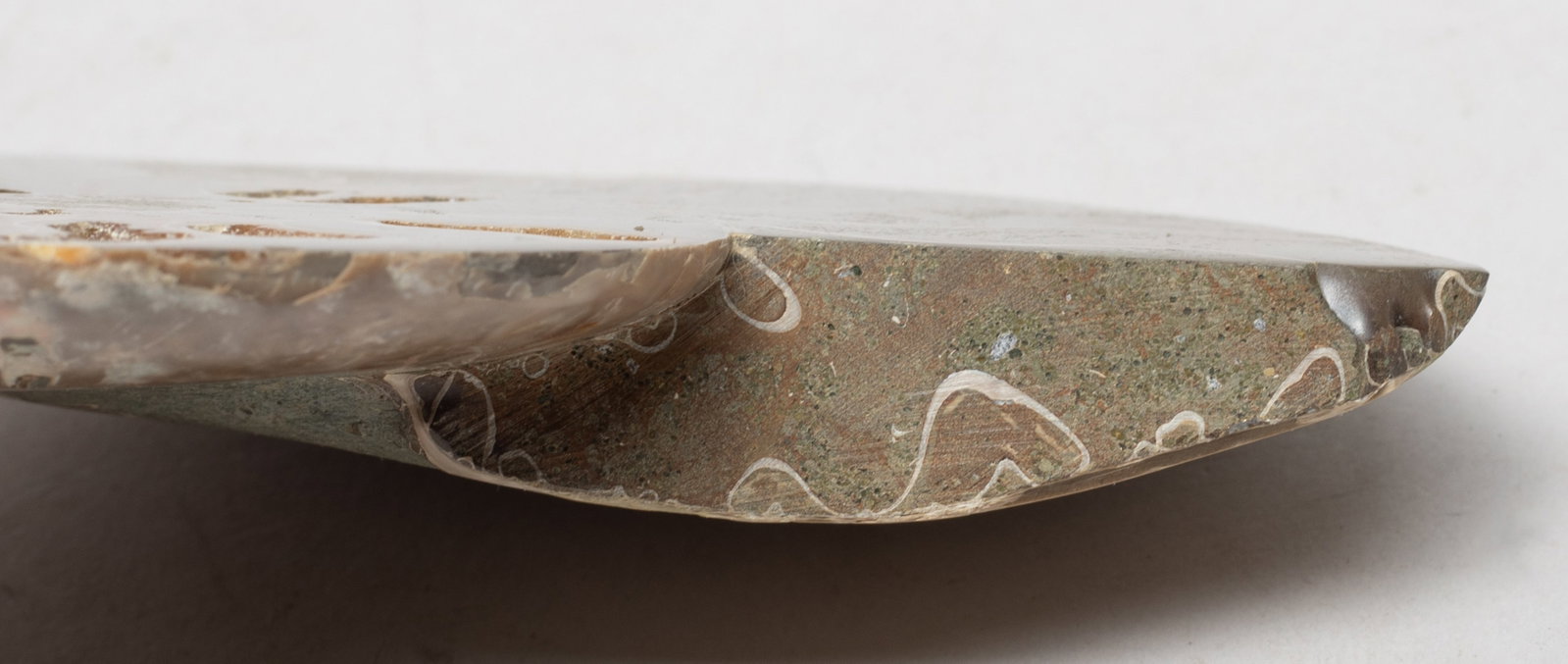 Two Opalized Fossil Sculptures - 7